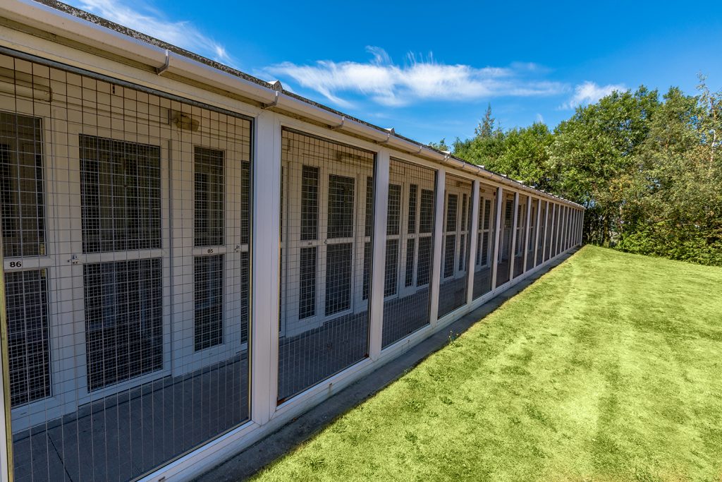 kennels boarding