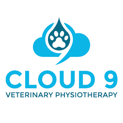 Physiothearpy and Hydrotherapy services