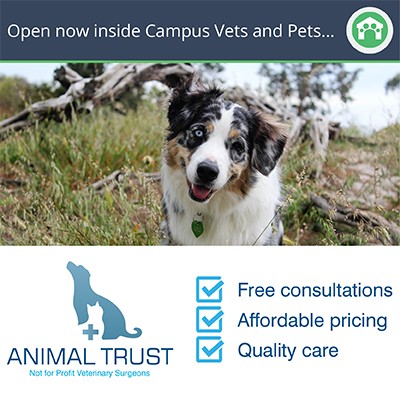 Animal Trust in Leeds