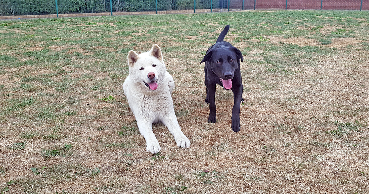 Khana and Jett tell all…