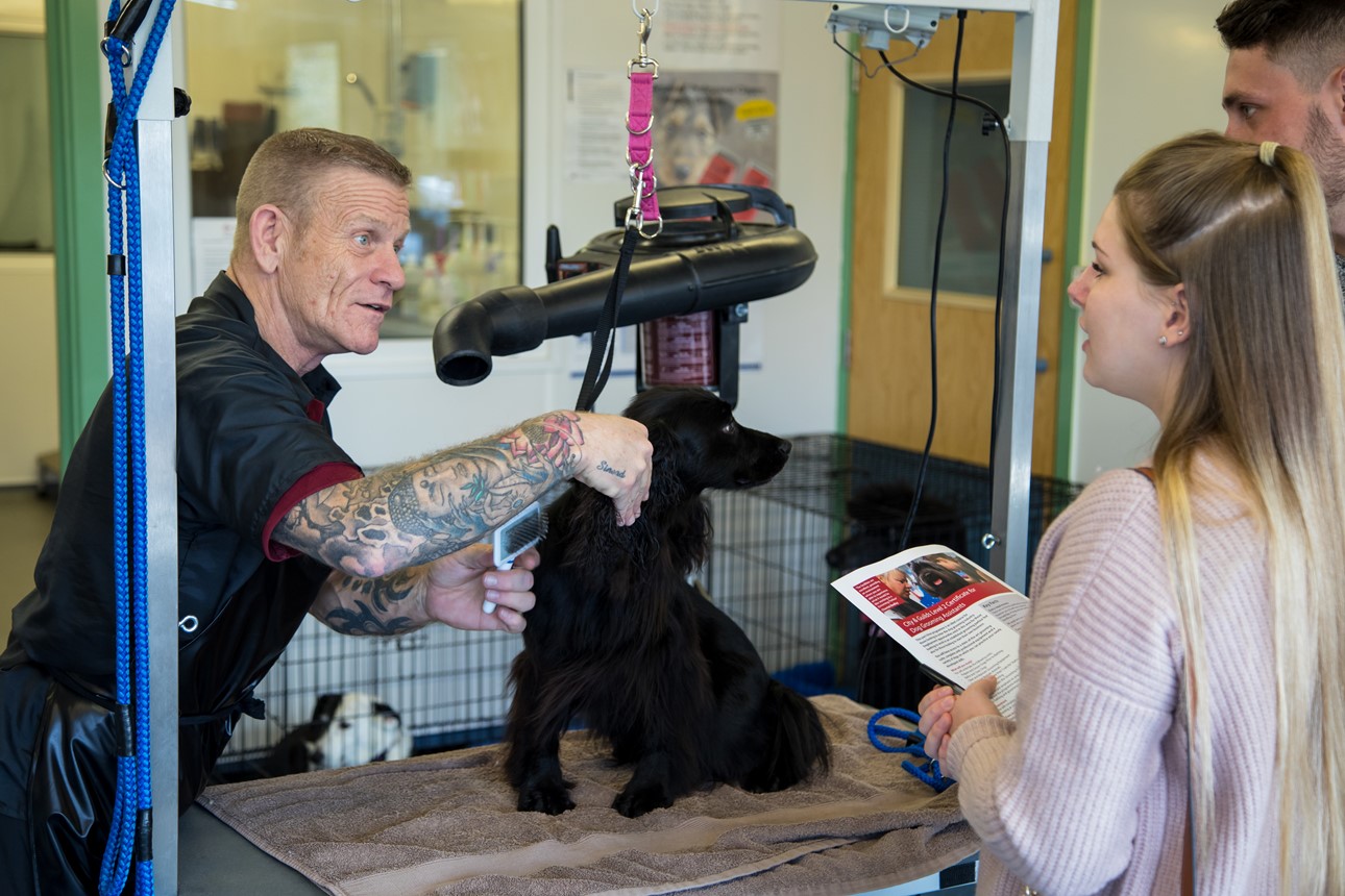 Train to become a dog groomer on a Saturday at Campus Vets and Pets!