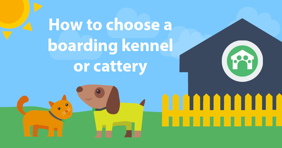 How to Choose a Boarding Kennel or Cattery: 9 Questions to Ask