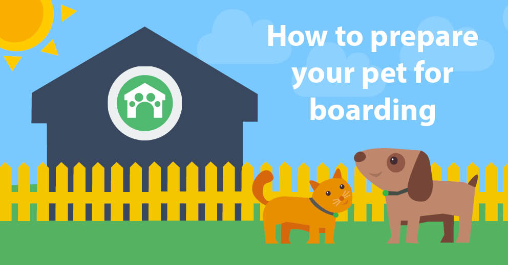 How to Prepare Your Pet for Boarding (Top Tips and Advice)