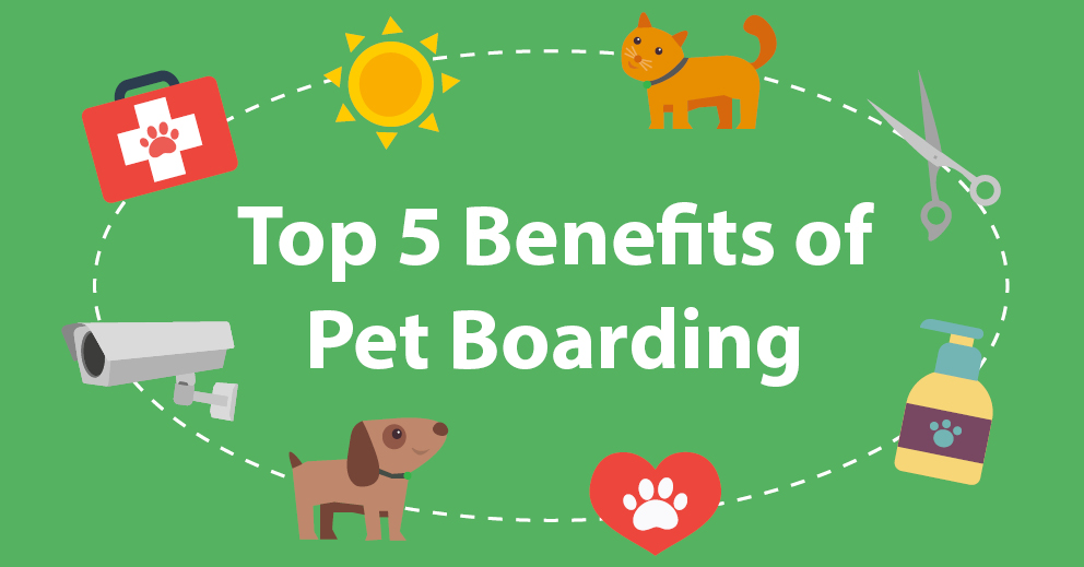 Top 5 benefits of pet boarding!