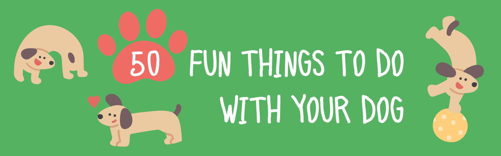 50 Fun Things To Do With Your Dog