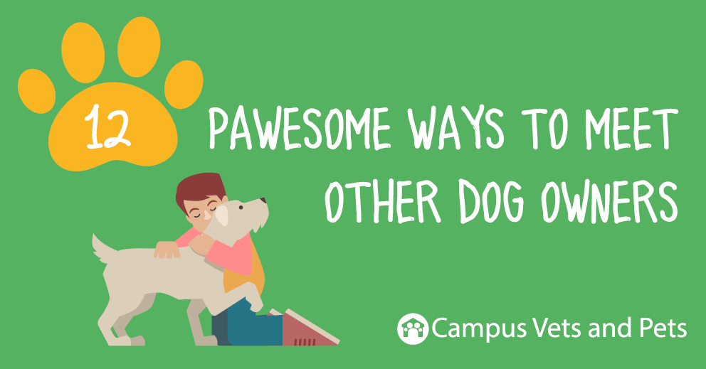 12 pawesome ways to meet other dog owners