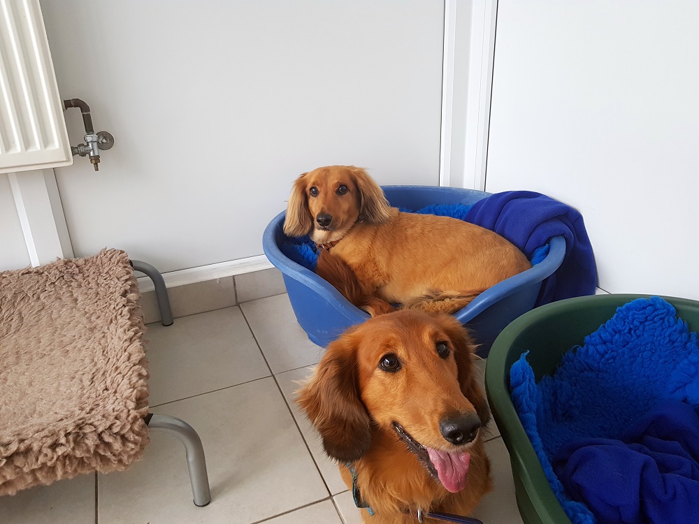 Ted and Bud in their holiday accommodation